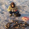 Алексей, 34, г.Дивногорск Алексей, 34, г.Дивногорск