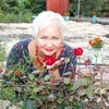 Елена, 57, г.Новосибирск Елена, 57, г.Новосибирск