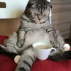 Андрей, 45, г.Омск Андрей, 45, г.Омск