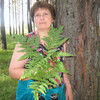 Елена, 50, г.Ермаковское Елена, 50, г.Ермаковское