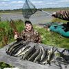 Анатолий, 34, г.Обь Анатолий, 34, г.Обь