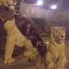 оксана, 40, г.Тура оксана, 40, г.Тура